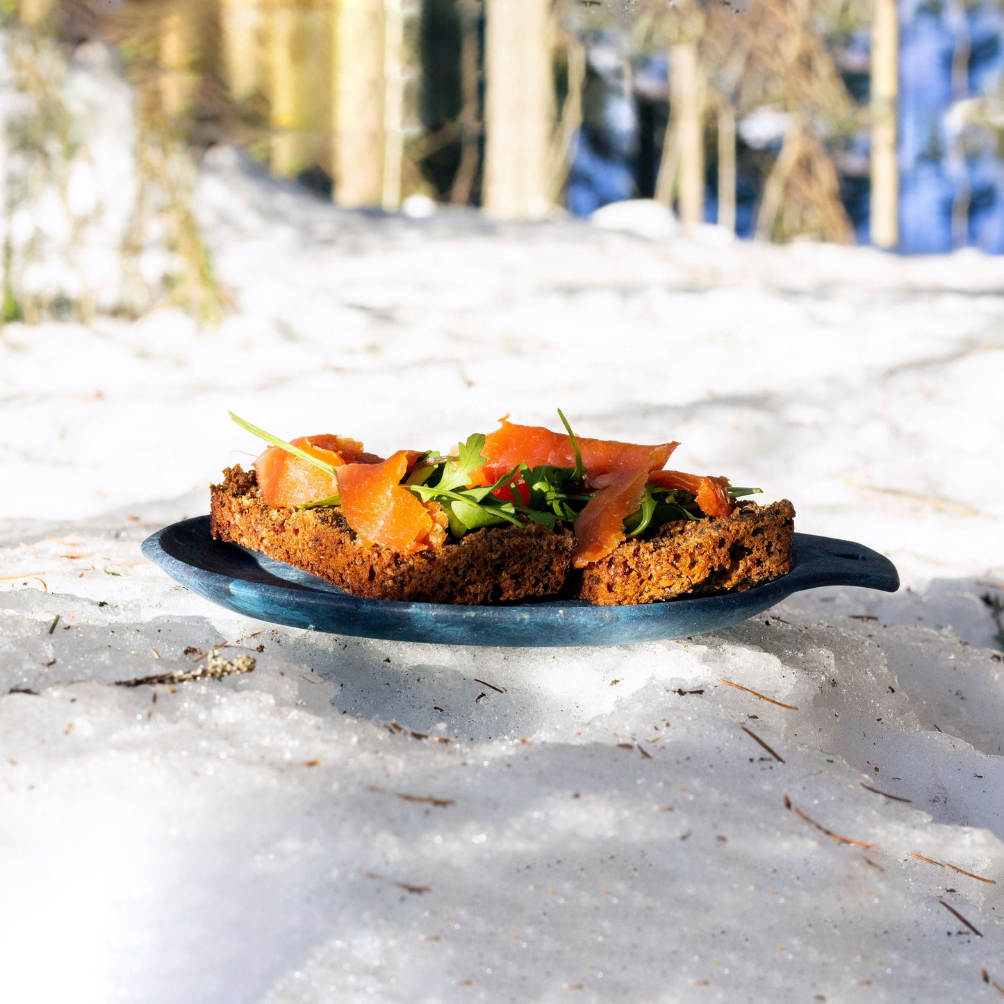 https://cdn.shopify.com/s/files/1/0813/4882/1276/files/Kupilka_plate_14_Blueberry_1.jpg?v=1698310355