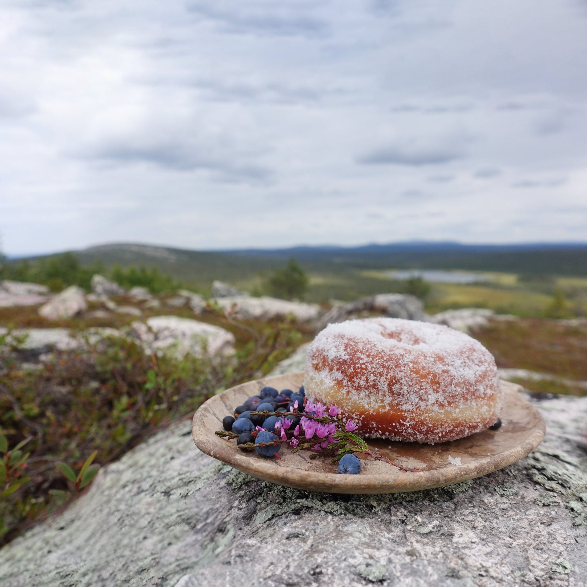 https://cdn.shopify.com/s/files/1/0813/4882/1276/files/Kupilka_plate_14_Original_Lapland_4copy4.jpg?v=1698661756