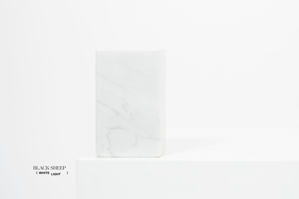 Bianco Carrara Marble Asymmetric Book Ends