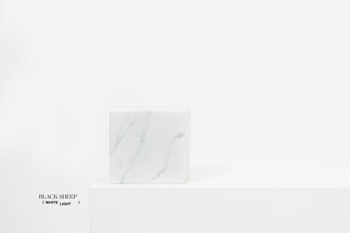 Bianco Carrara Marble Asymmetric Book Ends