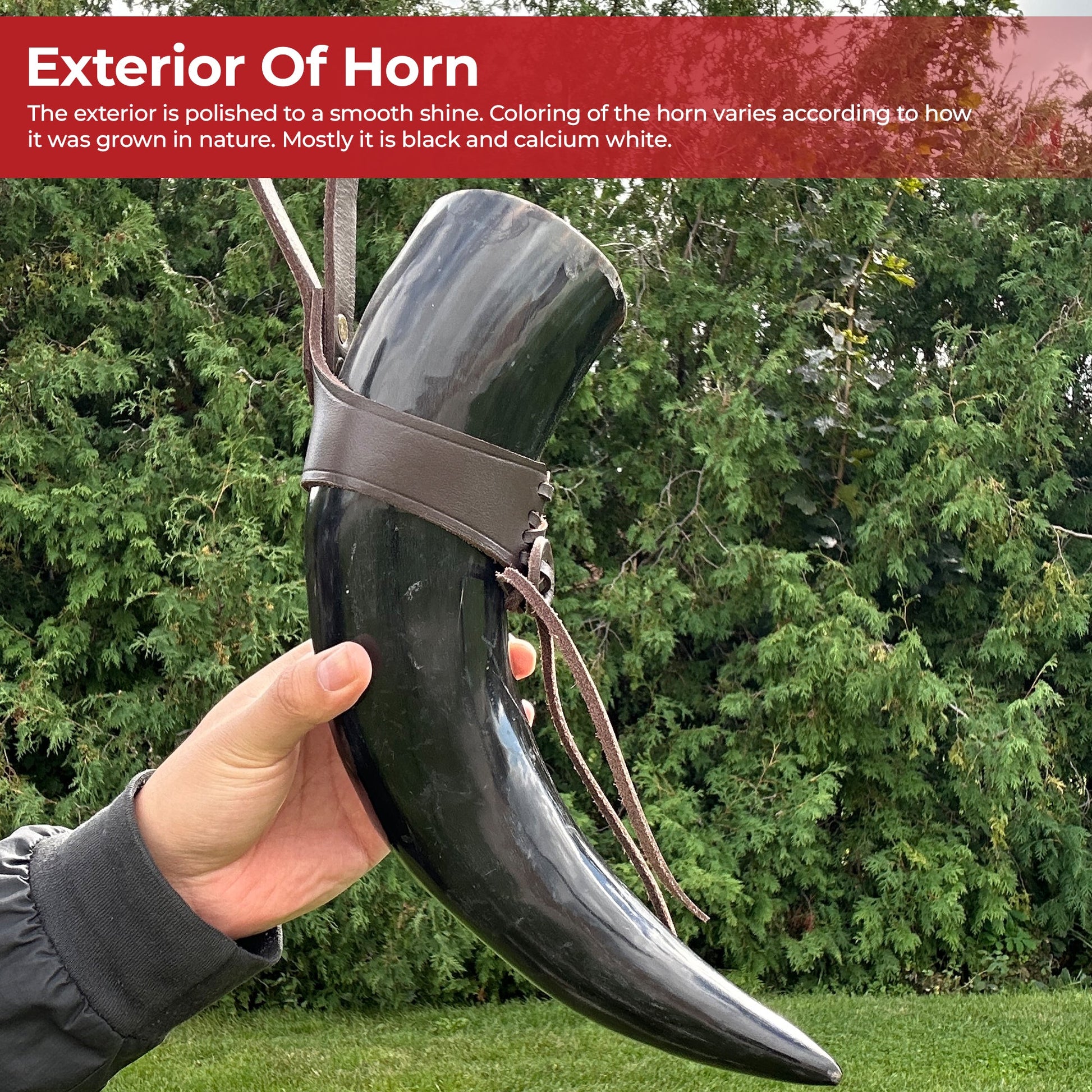 https://cdn.shopify.com/s/files/1/0925/7092/files/MEDIEVAL-NORWEGIAN-VIKING-DRINKING-HORN-24OZ-5.jpg?v=1730407716