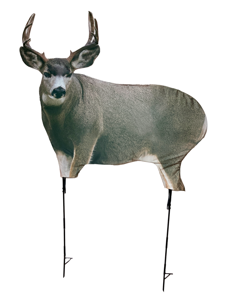 Montana Decoy Muley Buck