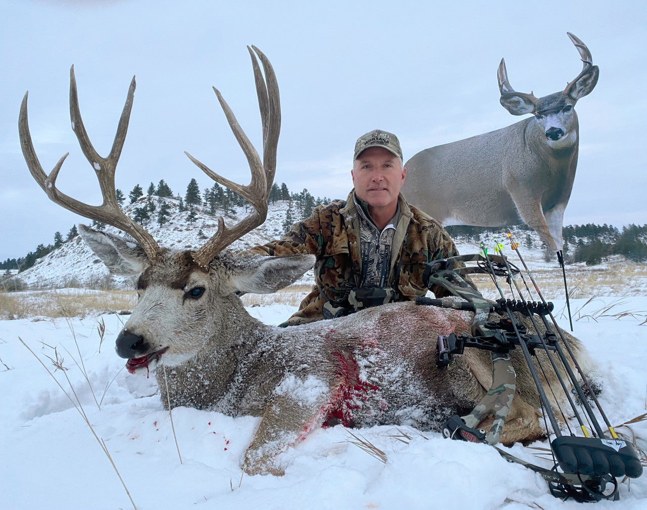 Montana Decoy Muley Buck