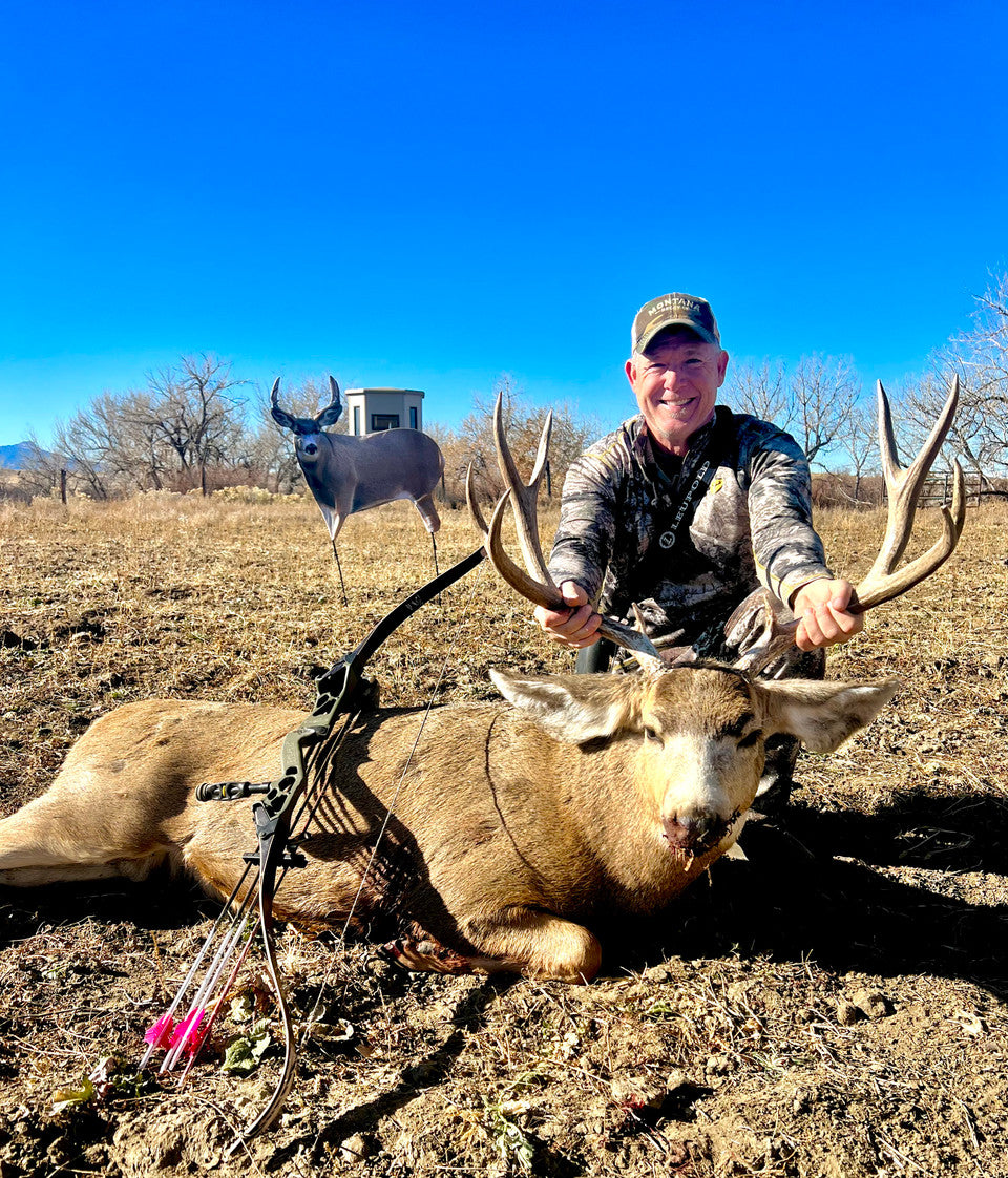 Montana Decoy Muley Buck