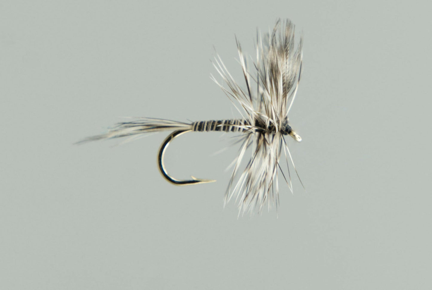 Neptune Dry Flies