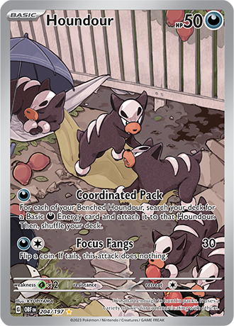 Houndour 204/197