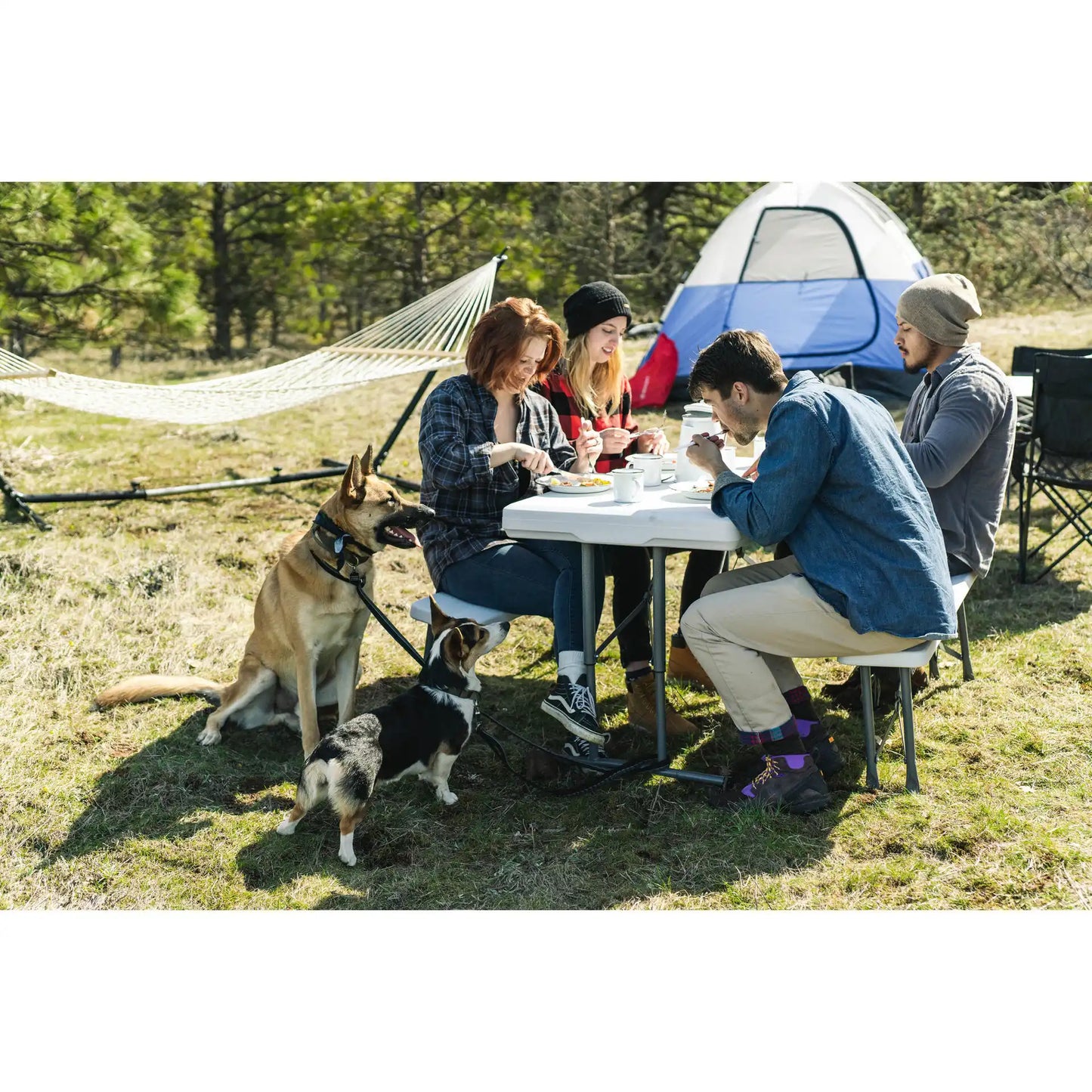 Picnic Table and Bench Set