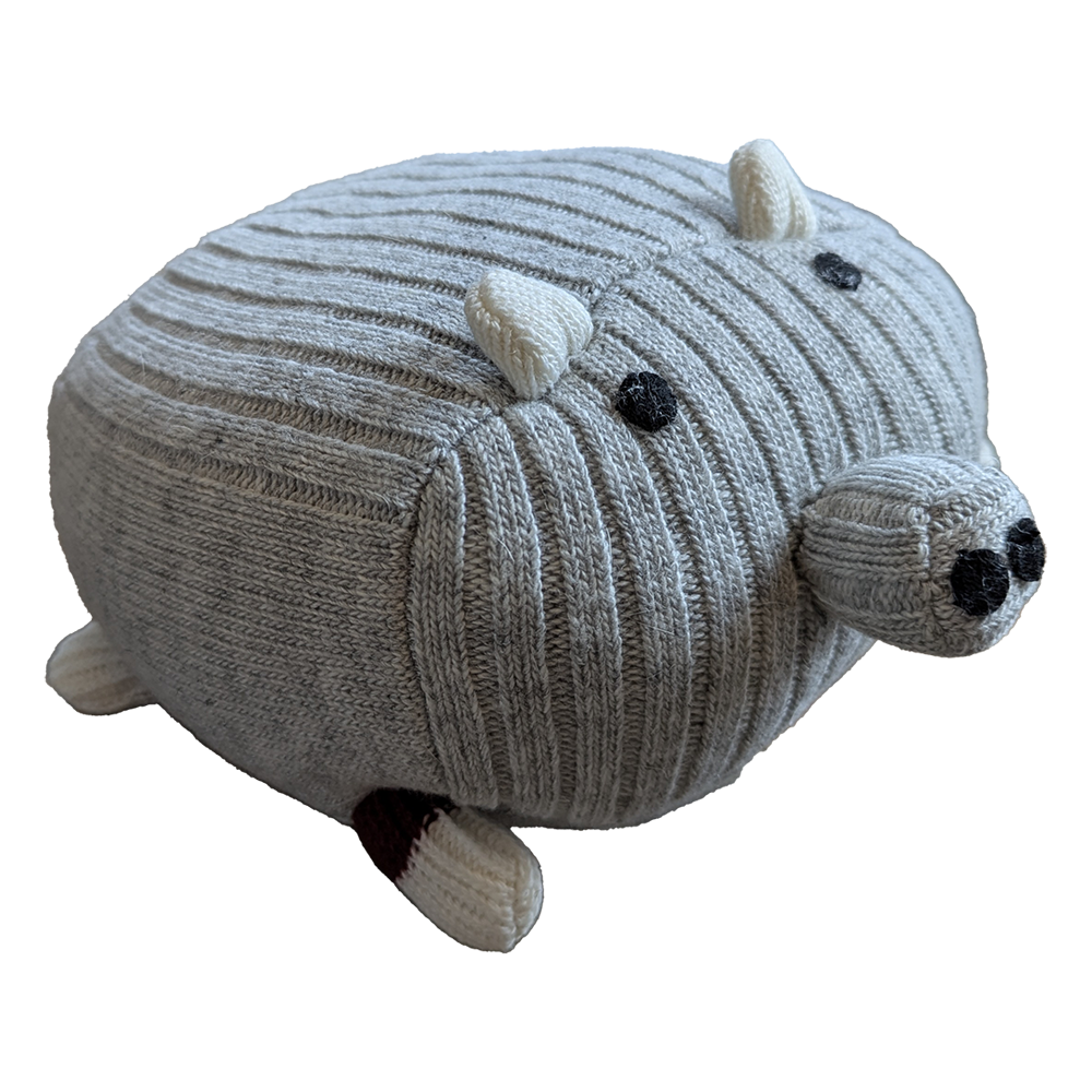 Pook Unisex Pig