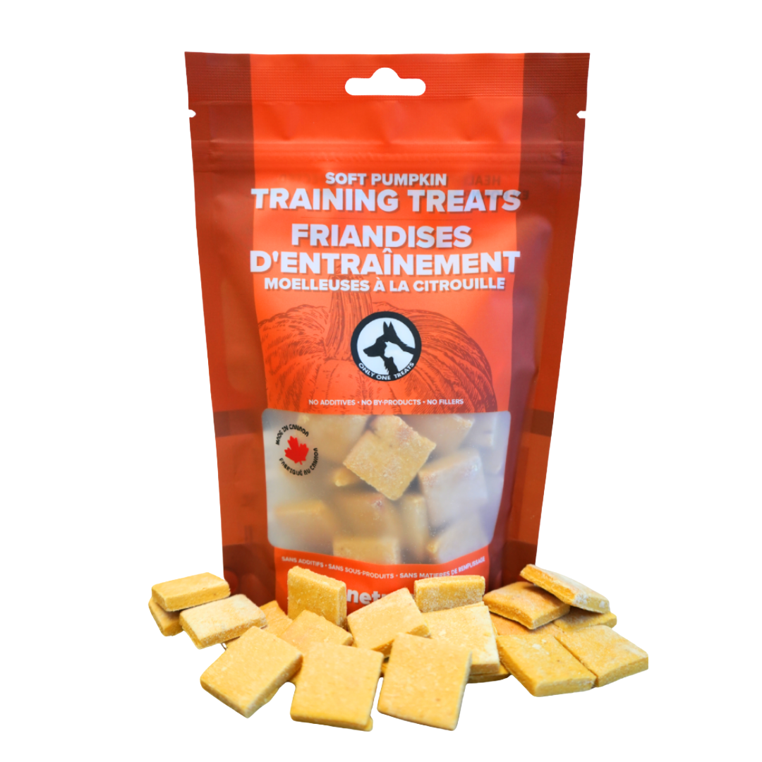 Fresh Soft Pumpkin Training Treats 170g
