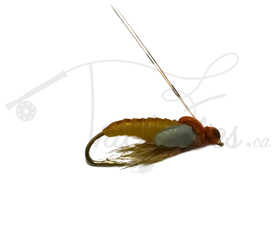 Realistic Caddis Pupa Yellow