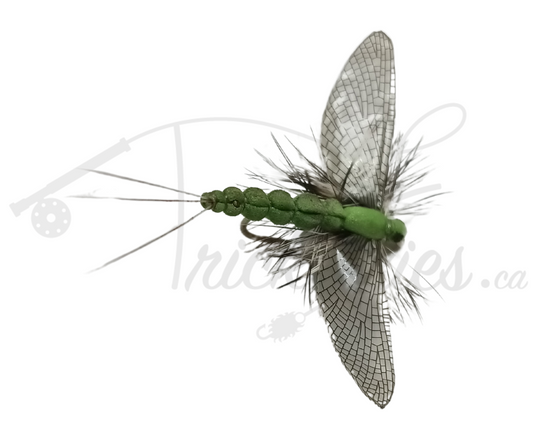 Realistic Spent Mayfly Green