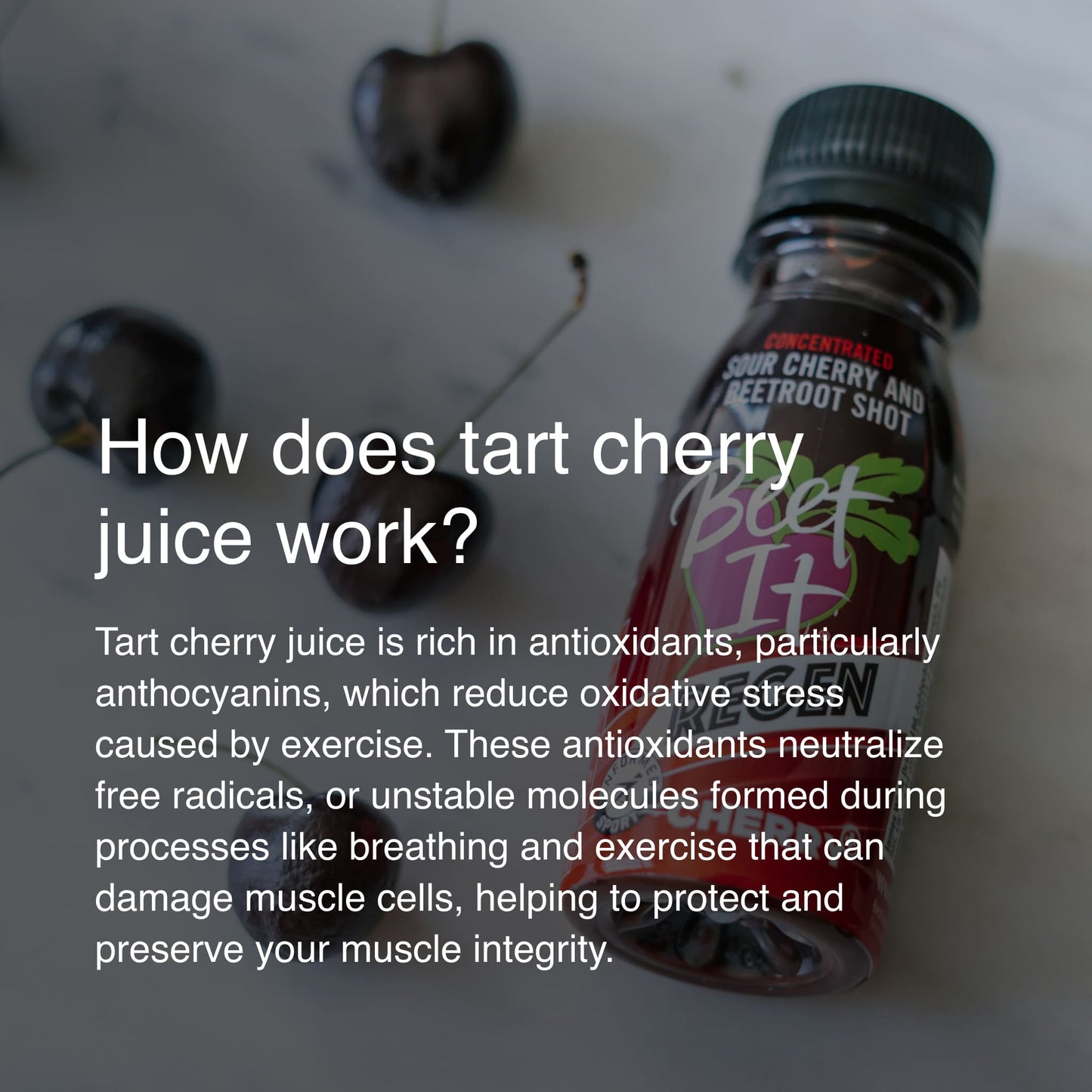 Beet It Regen Cherry+