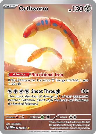 Orthworm 224/193