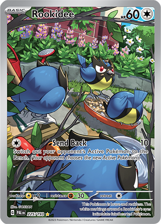 Rookidee 225/193