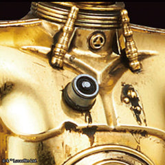 Star Wars C-3PO 1/12 Scale Model Kit