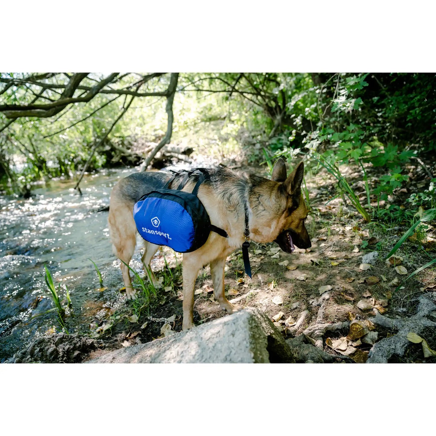 Saddle Bag for Dogs