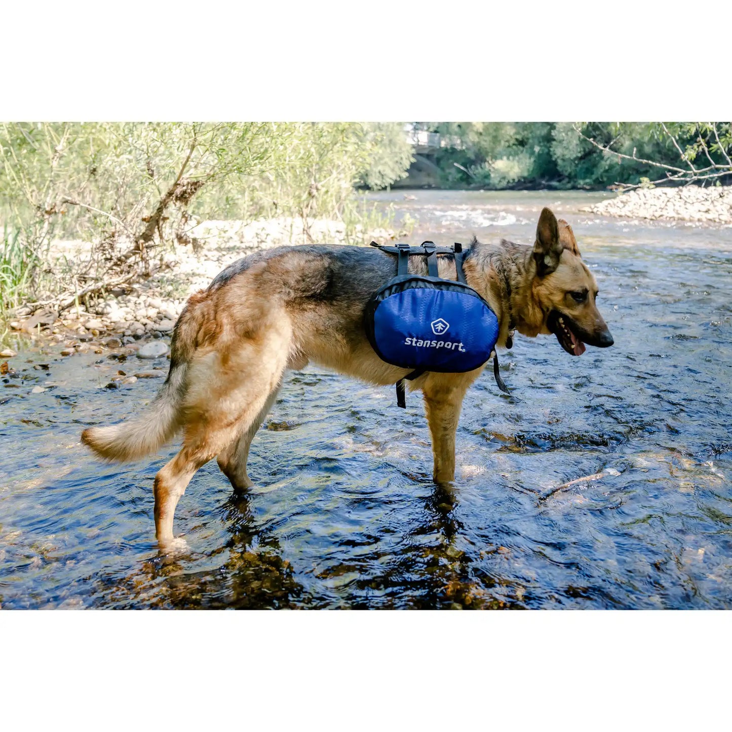 Saddle Bag for Dogs