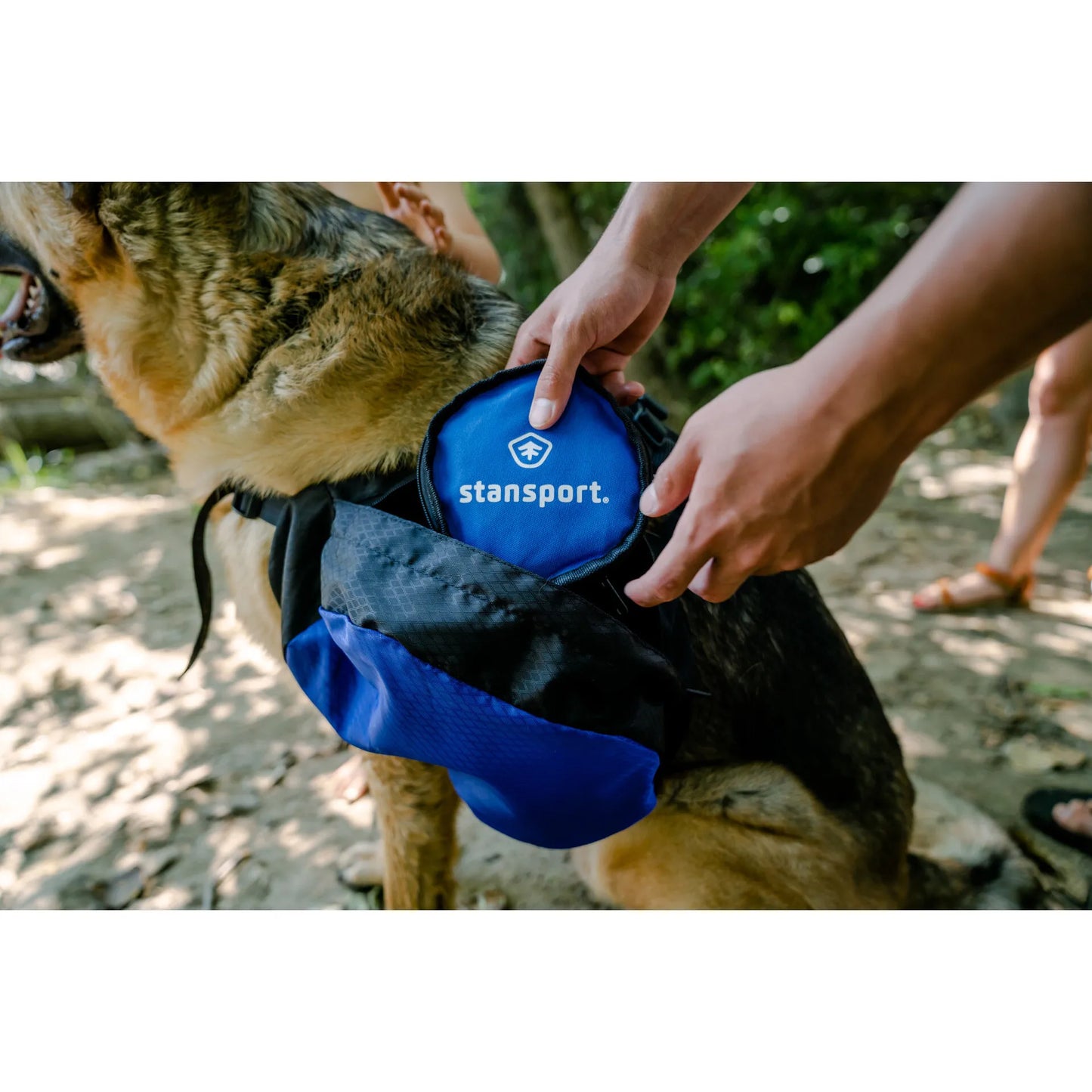 Saddle Bag for Dogs