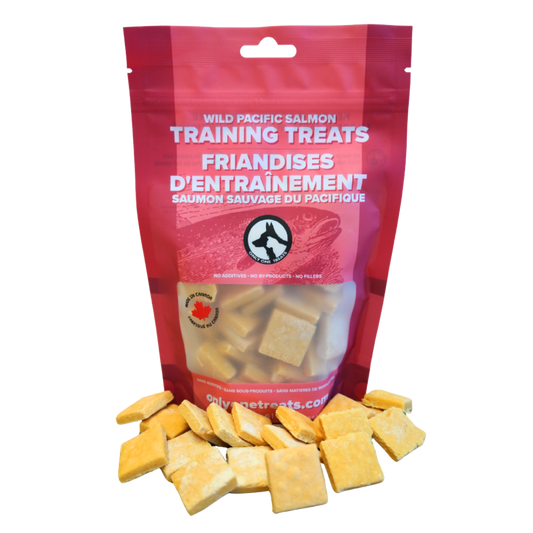 Wild Pacific Salmon Training Treats 170g
