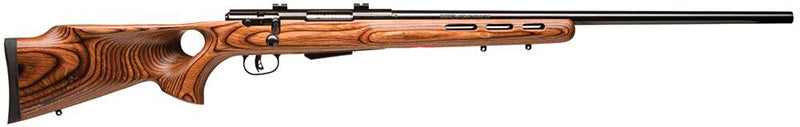 Savage Rifle - 25 LightWeight Varminter 17 Hornet