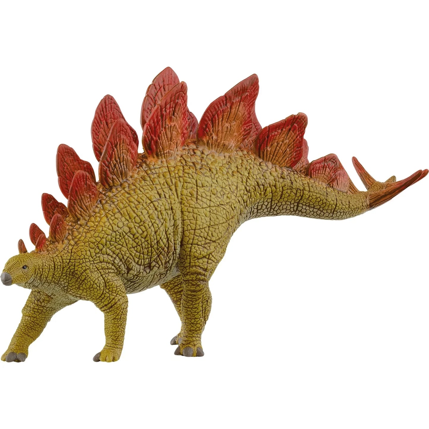 Stegosaurus