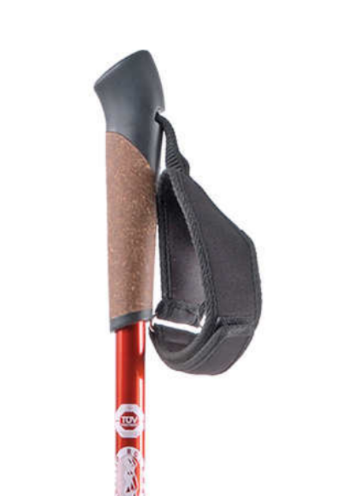 RockWater Designs Nordic Walking Poles 3-Section