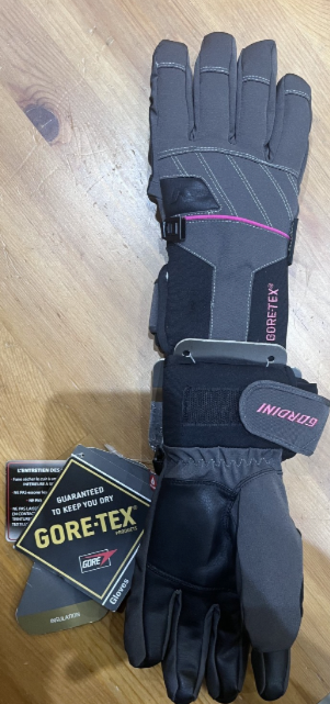 Gordini Women's Challenge XIV Primaloft Insulated Gore-Tex Waterproof Ski Gloves Size Small