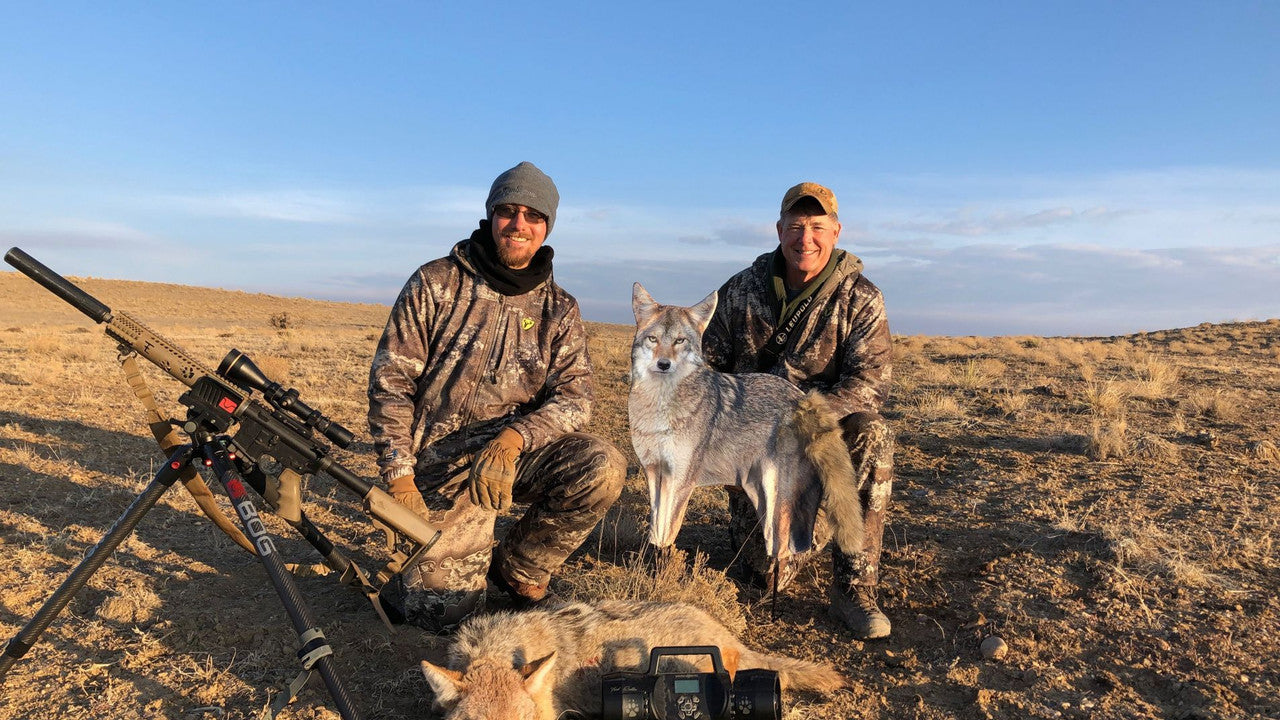 Montana Decoy Song Dog Coyote Decoy