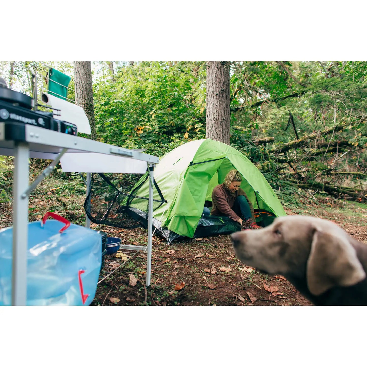 Starlite Mesh Backpack Tent