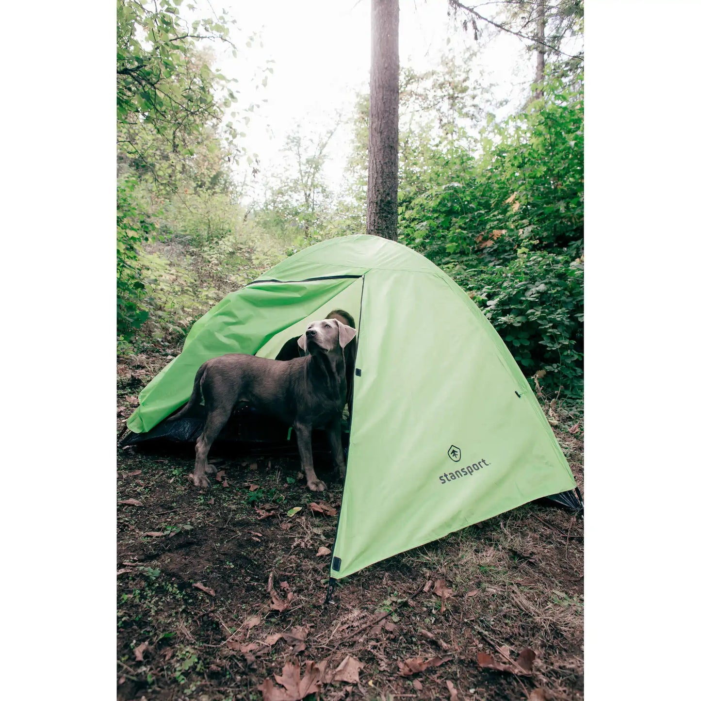 Starlite Mesh Backpack Tent