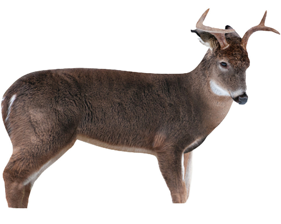 Montana Decoy The Freshman Buck Decoy