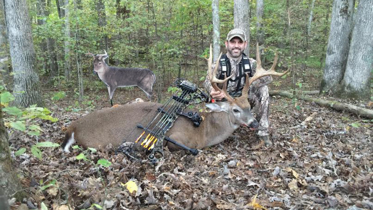 Montana Decoy The Freshman Buck Decoy