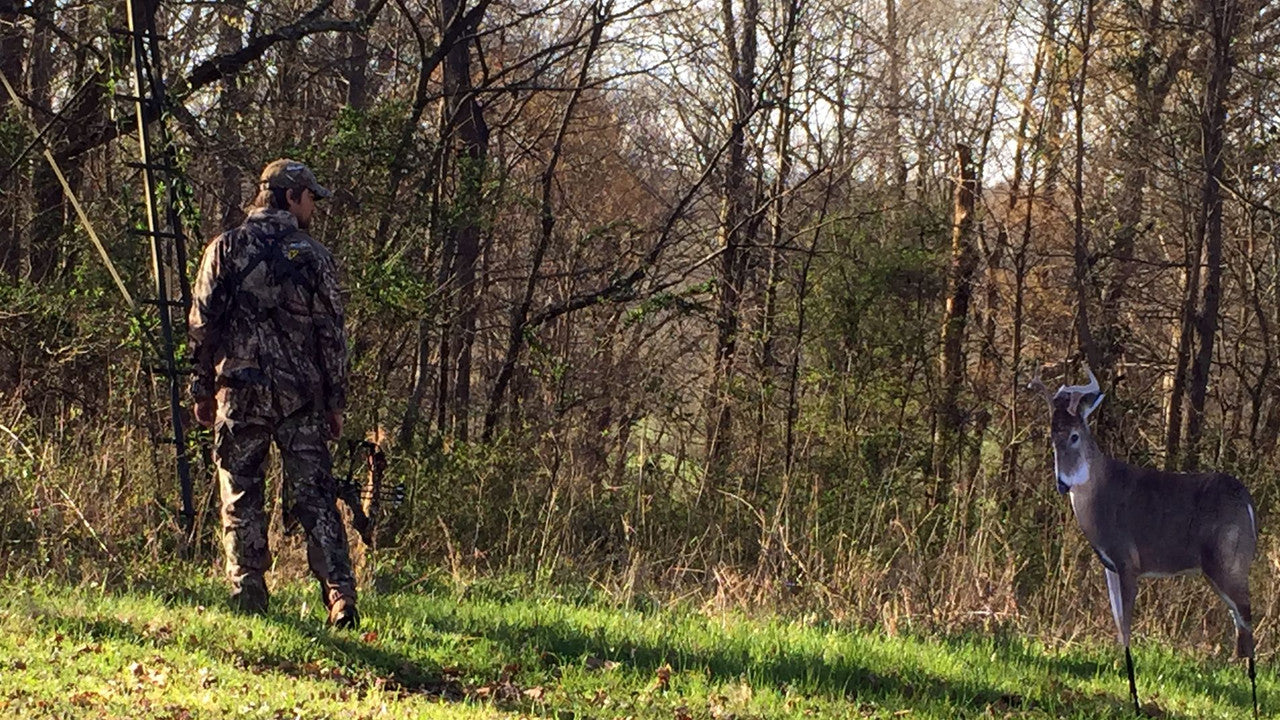 Montana Decoy The Freshman Buck Decoy