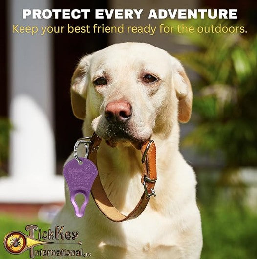 Tick Key, Tick Removal Device