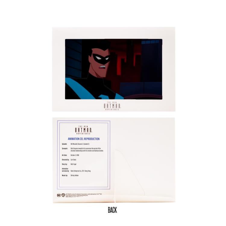 The New Batman Adventures Nightwing Action Figure