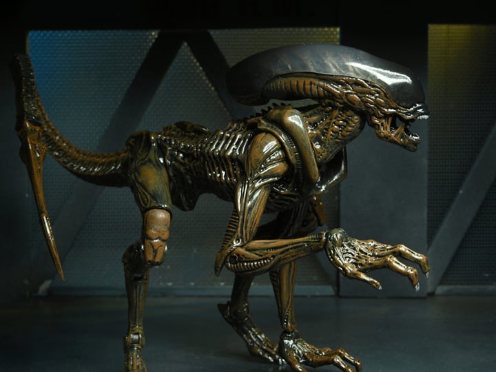 Aliens: Fireteam Elite Runner Alien Action Figure