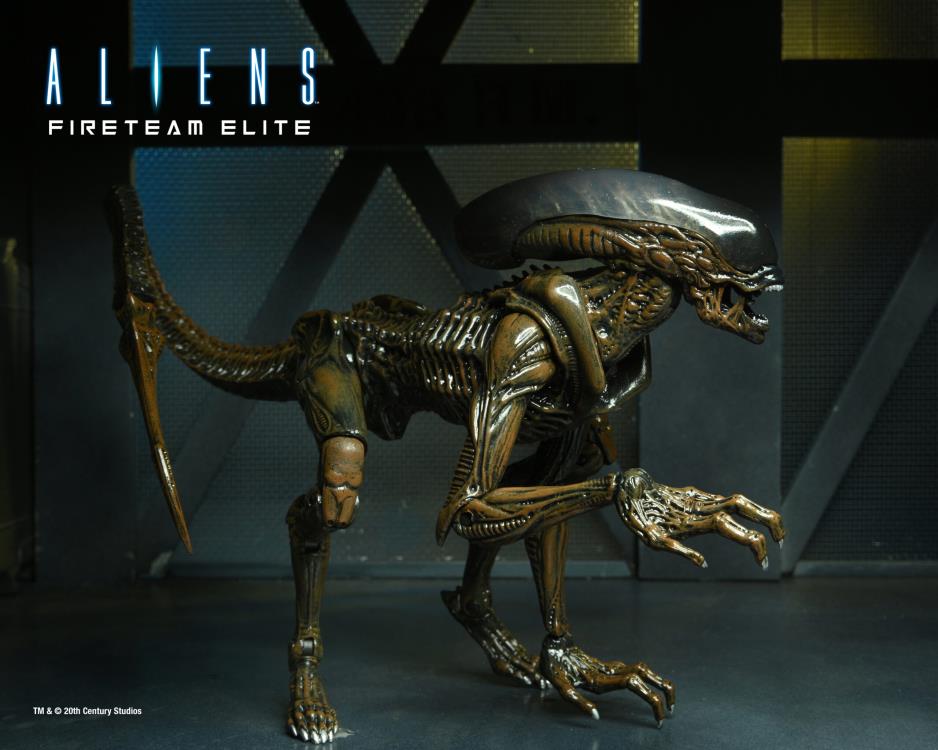 Aliens: Fireteam Elite Runner Alien Action Figure