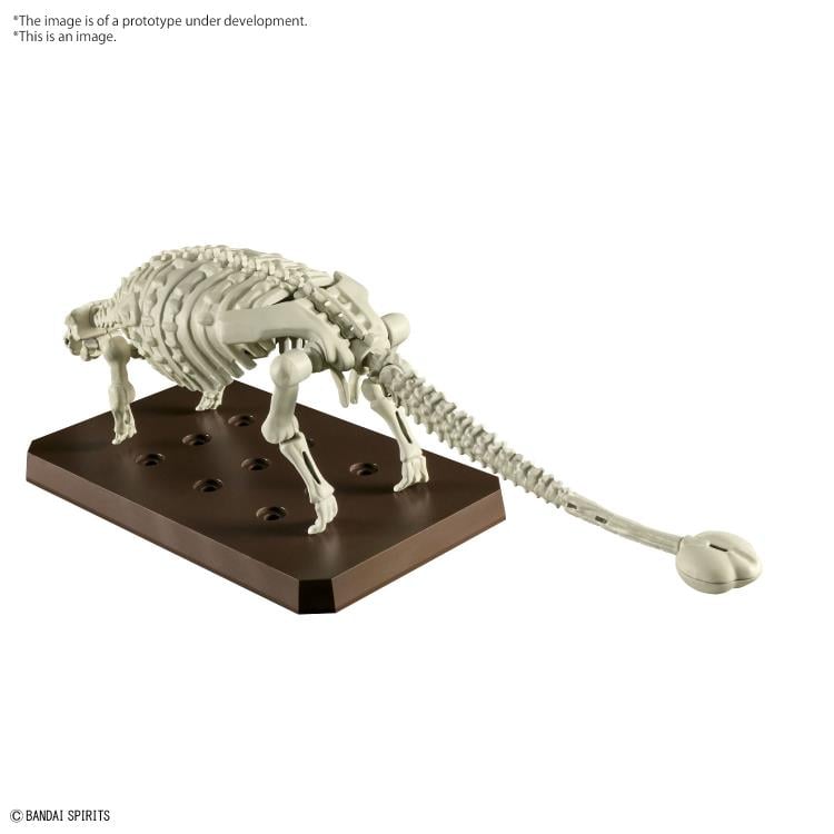 Plannosaurus Ankylosaurus Model Kit
