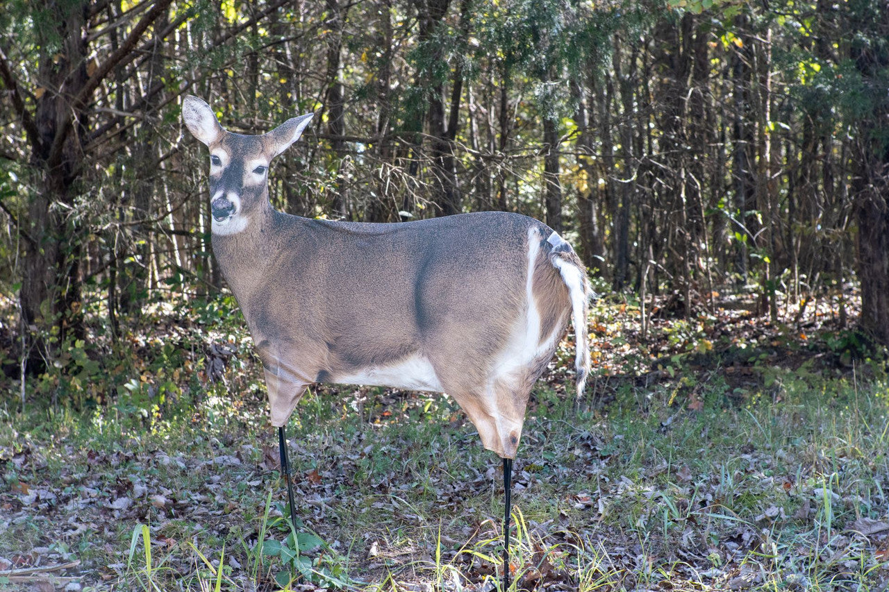 Montana Decoy Trixie Whitetail Doe