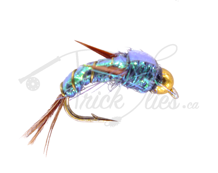 Tungsten Beadhead Evil Weevil