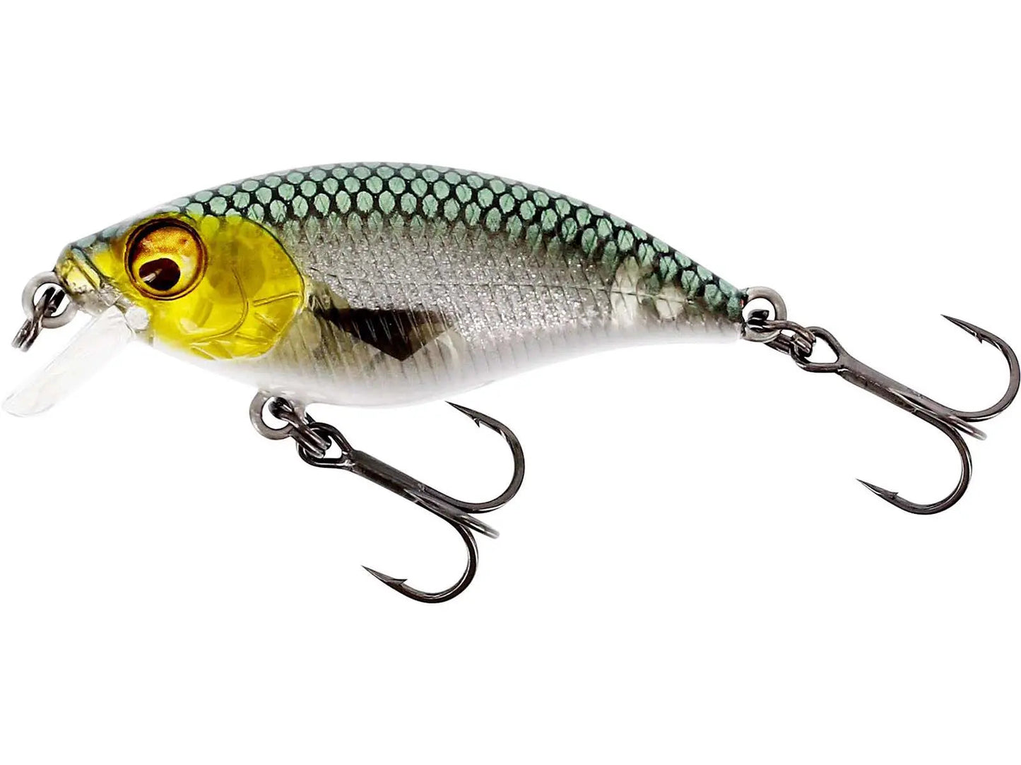 Westin BuzzBite SR Crankbait