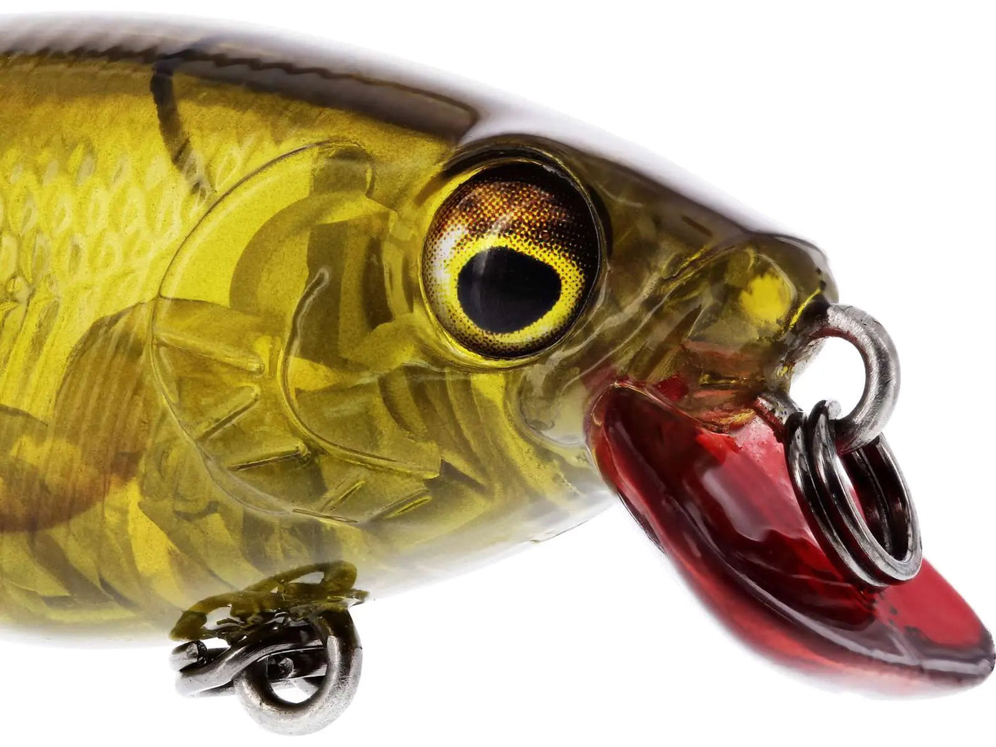 Westin BuzzBite SR Crankbait