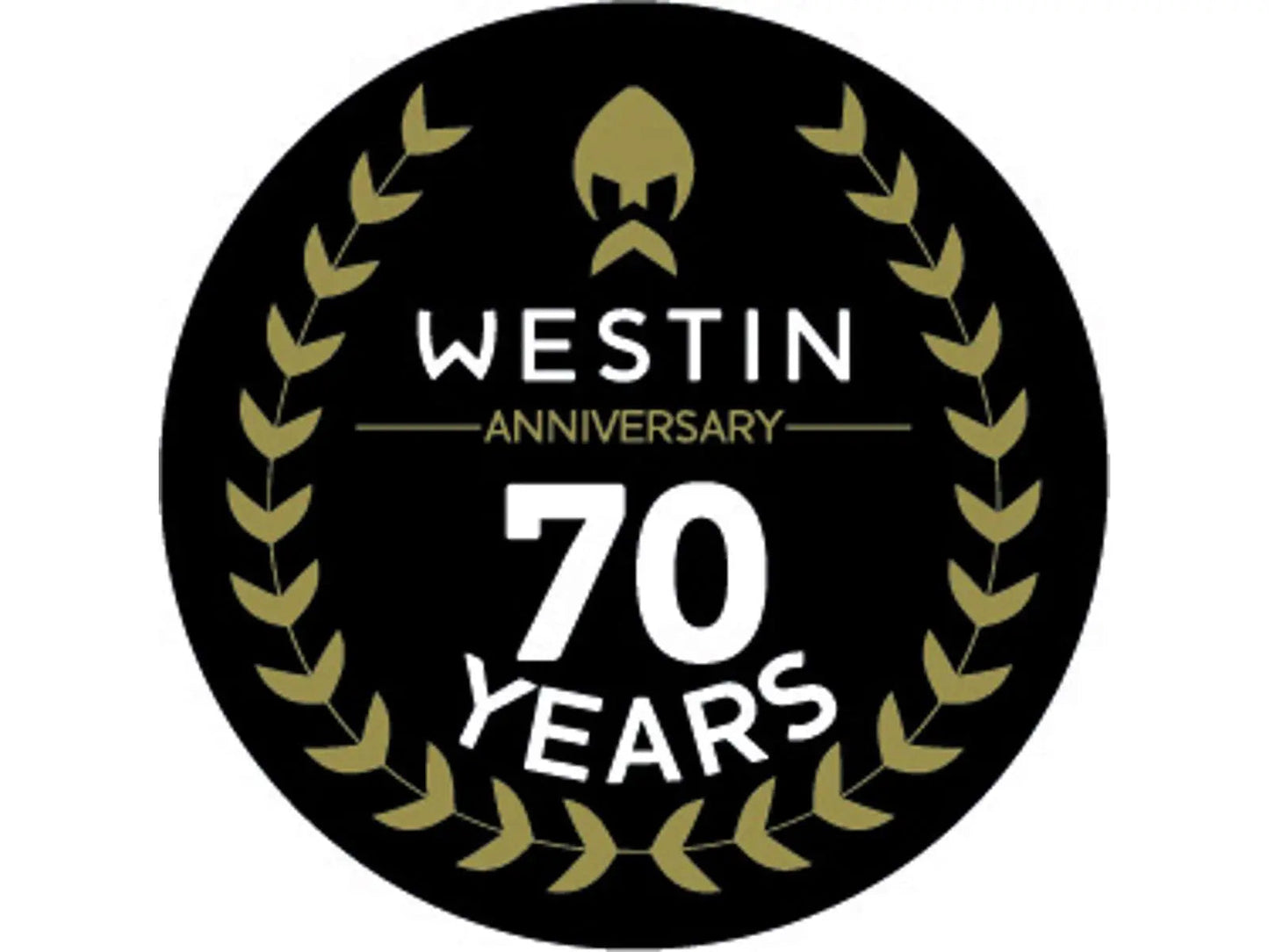 Westin W Carbon Helmet