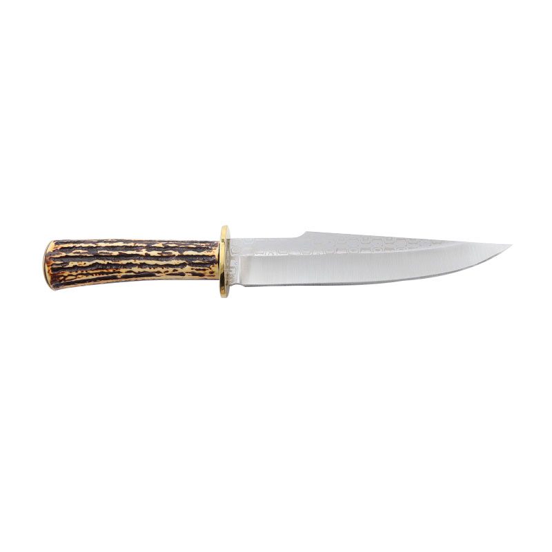 12" Hunting Knife (XTR-HKN055)