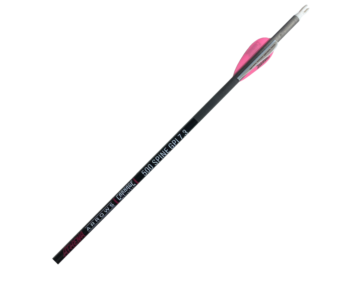 Carnage Athena 500 Spine 6.2mm Carbon 32" 12-Pack Arrows