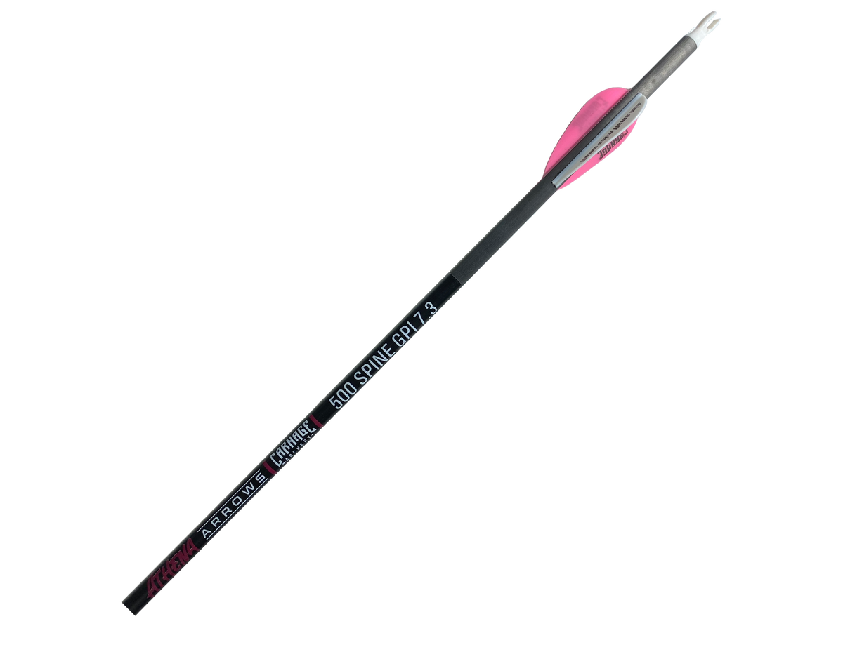 Carnage Athena 500 Spine 6.2mm Carbon 32" 12-Pack Arrows