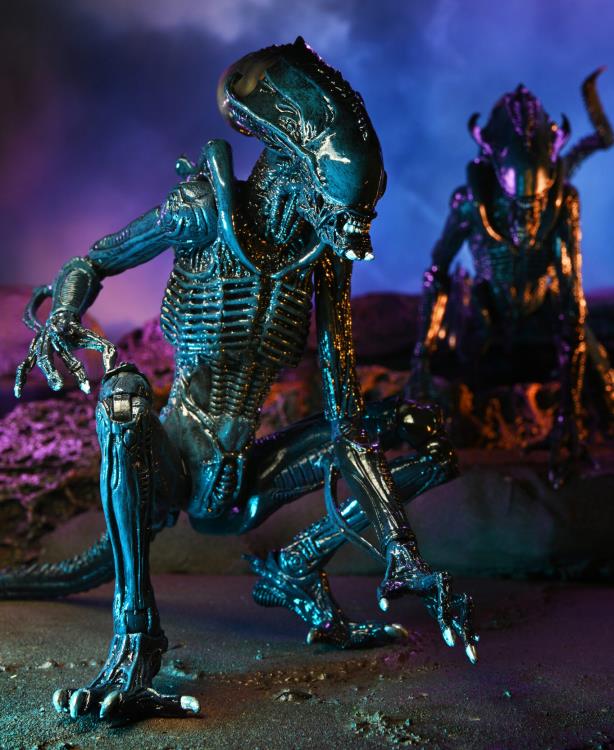 Neca - Alien vs. Predator Arachnoid - Movie Deco