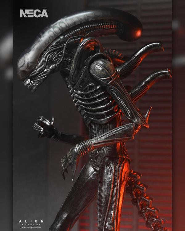 Alien: Romulus Ultimate Xenomorph XX121