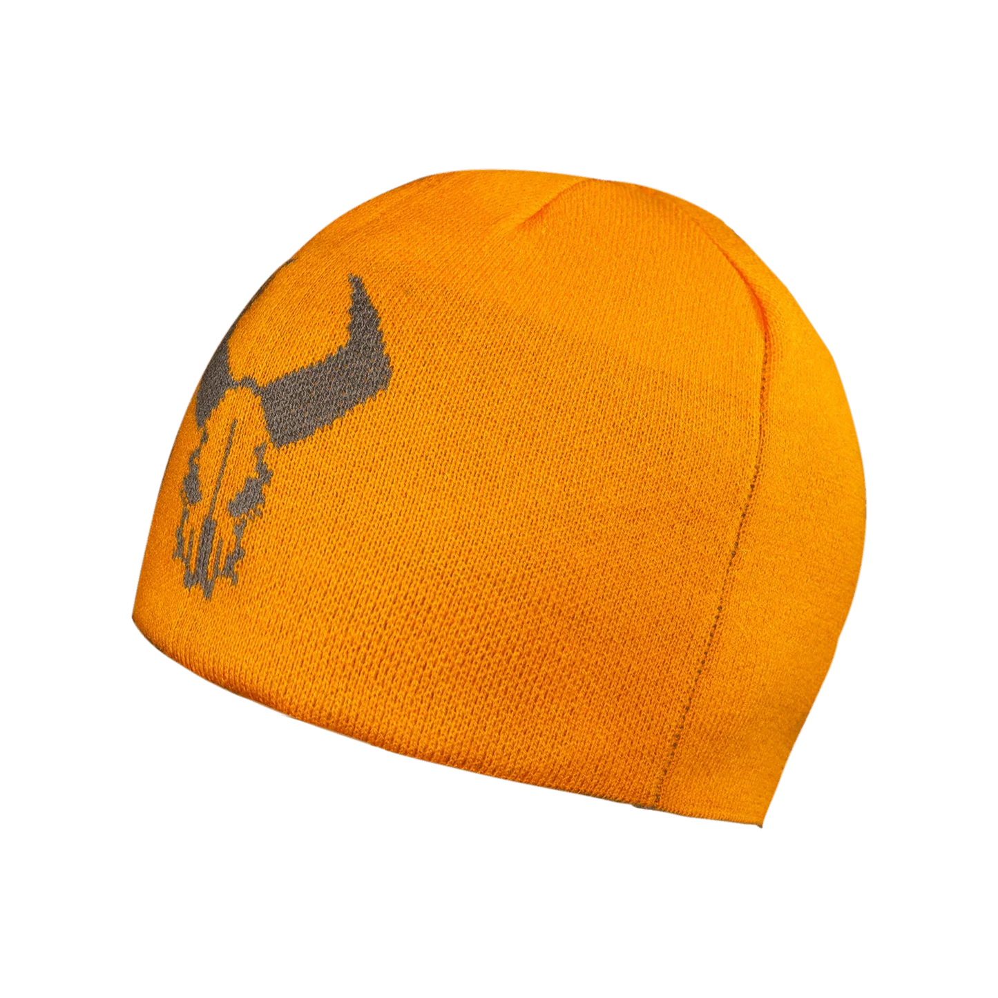 Badlands Reversible Beanie