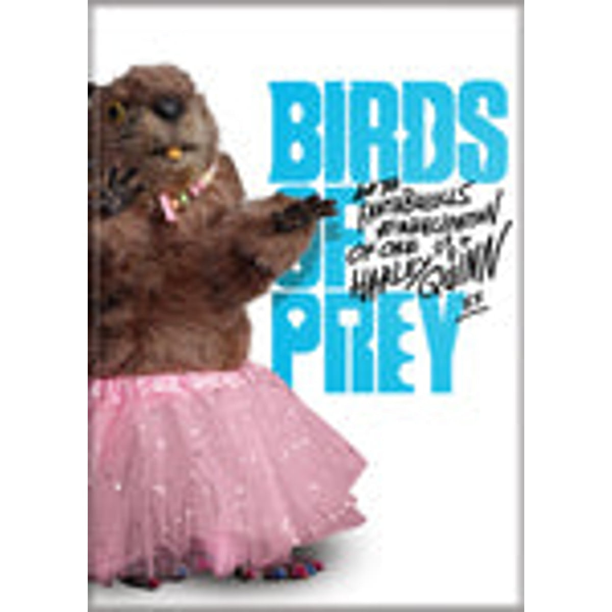 Birds of Prey - Beaver in Tutu Magnet